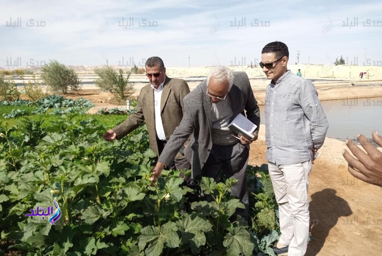 تجمعات تنموية وزراعية بمناطق وسط سيناء