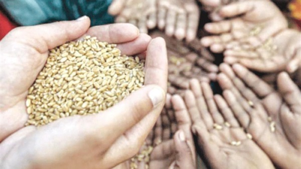 أزمة غذاء عالمية  أزمة غذاء عالمية