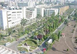 جامعة المنصورة  جامعة المنصورة
