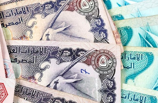 الدرهم الإماراتي 