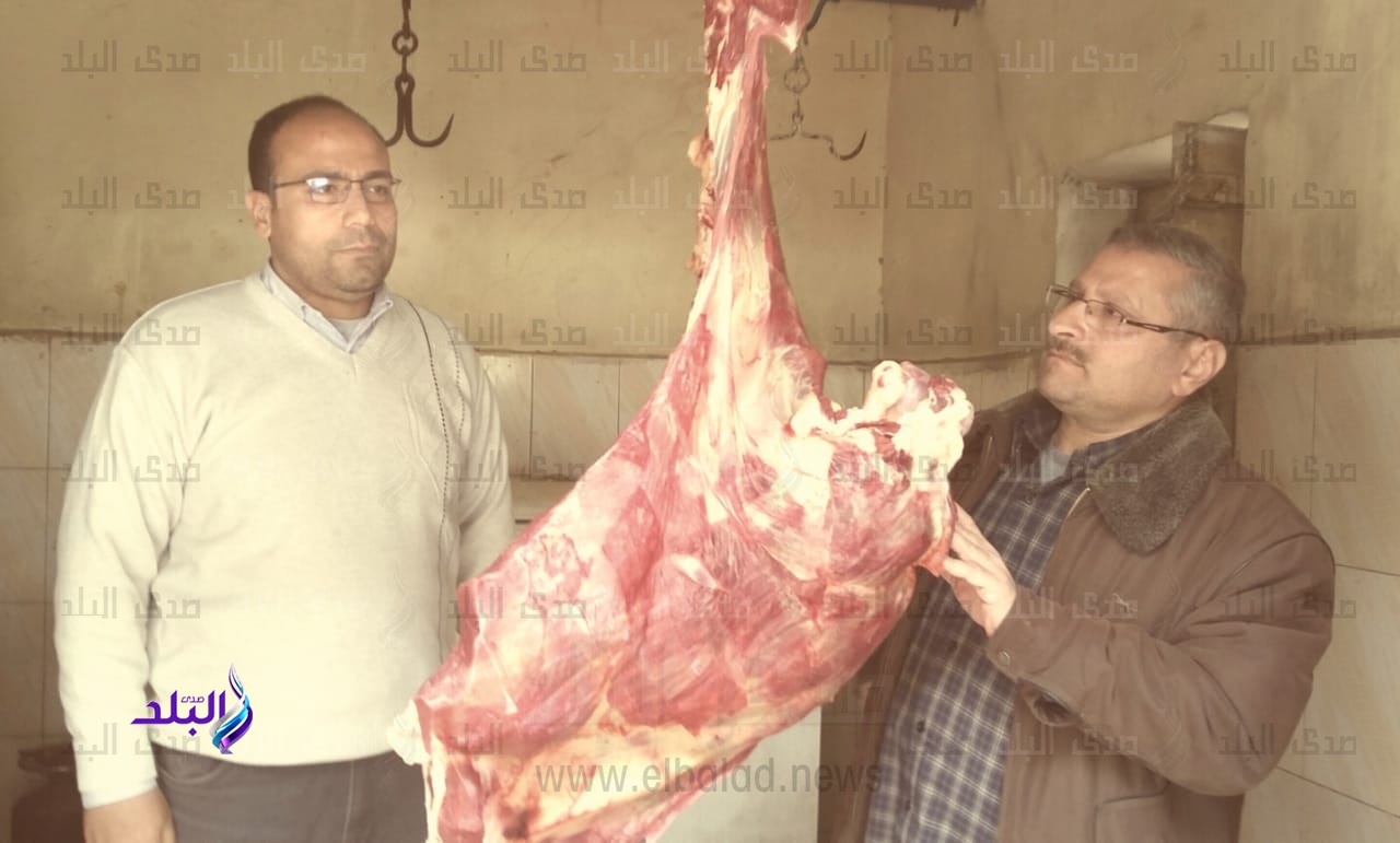 حملة مكبره لتموين اجا