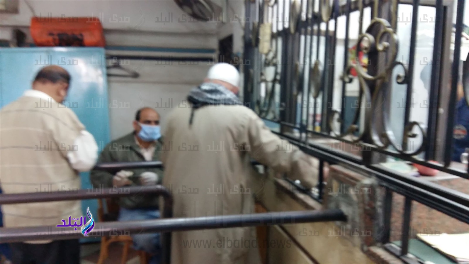 التزام في صرف معاشات القليوبية 