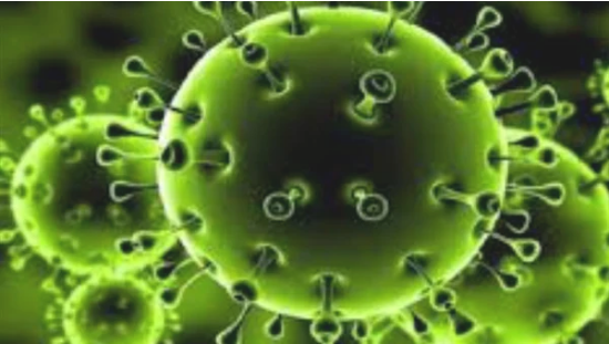 فيروس كورونا
