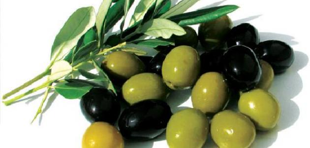  كيف تفرق بين الزيتون الفاسد من الجيد