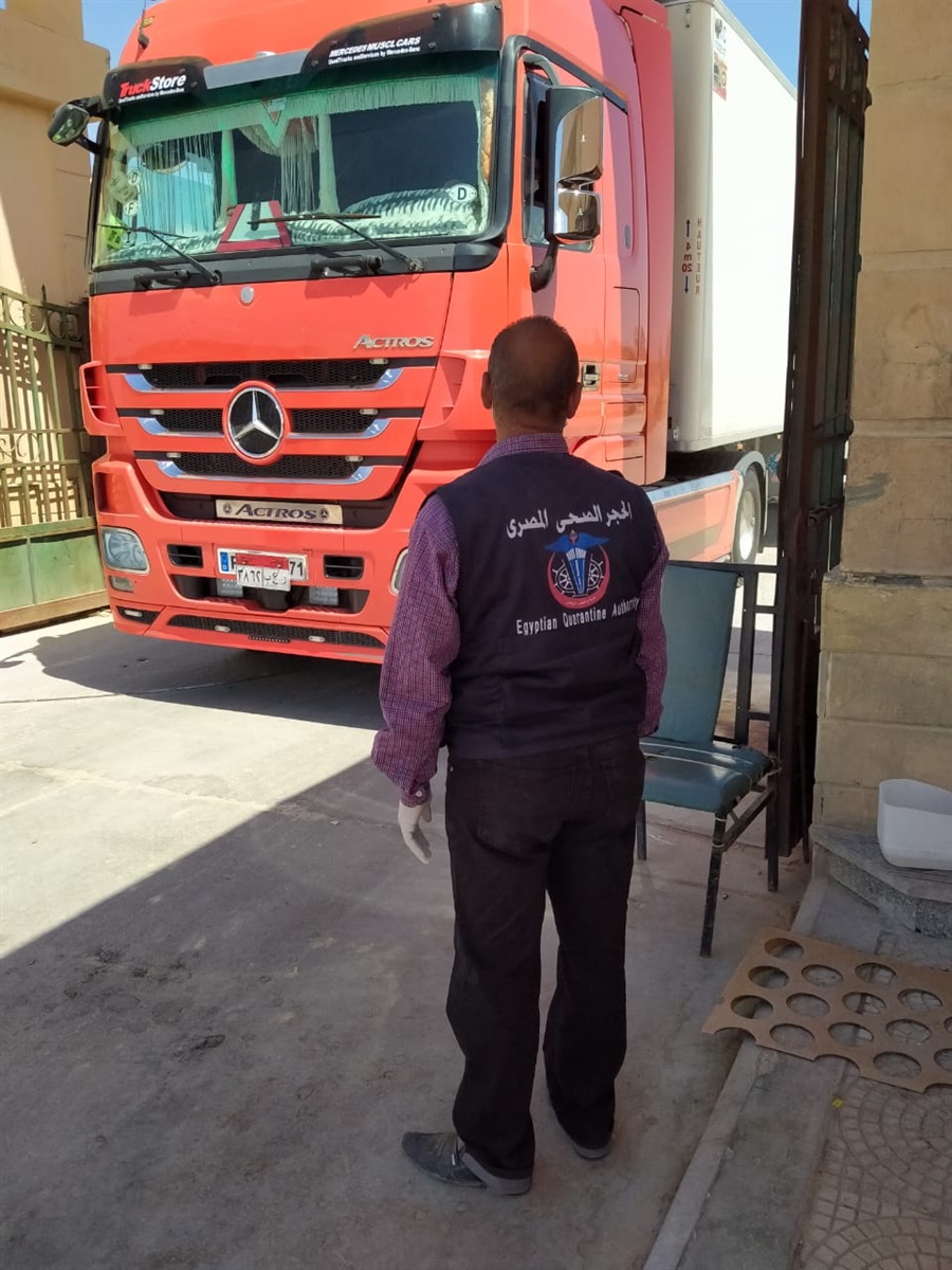 الإجراءات الطبية في ميناء رفح البري 