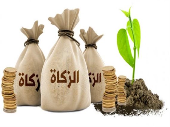 حكم إخراج الزكاة للأقارب والتعجيل بها قبل موعدها