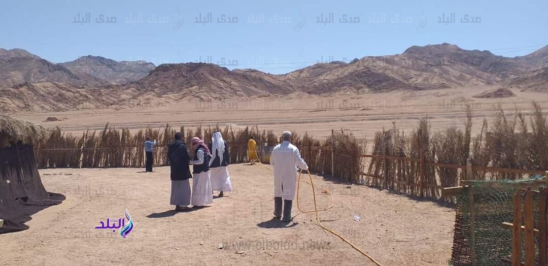 تطهير وتعقيم الاماكن