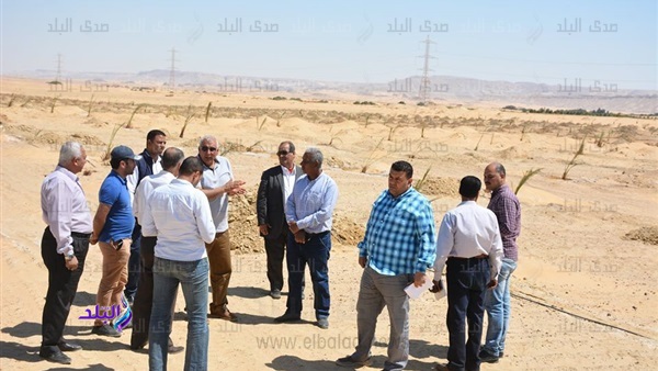 محافظ الوادي الجديد يتفقد المشروعات الجاري تنفيذها 