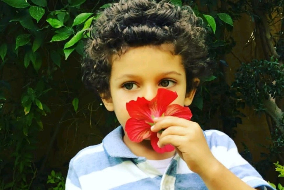 اسماعيل محمد فضل