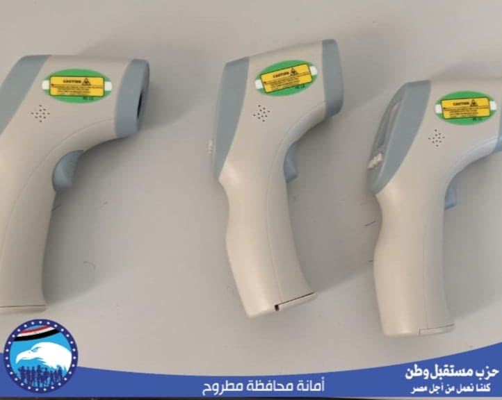حزب مستقبل وطن