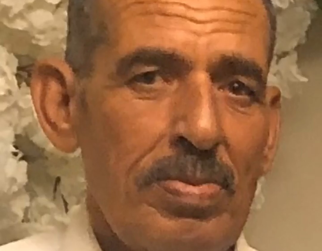 والد على ربيع 