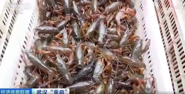 أحد أسواق ووهان الصينية 