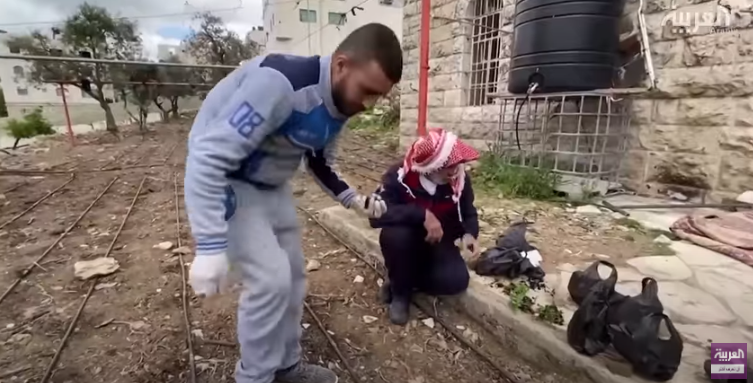 فلسطين