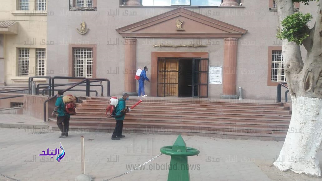 جانب من عملية التعقيم