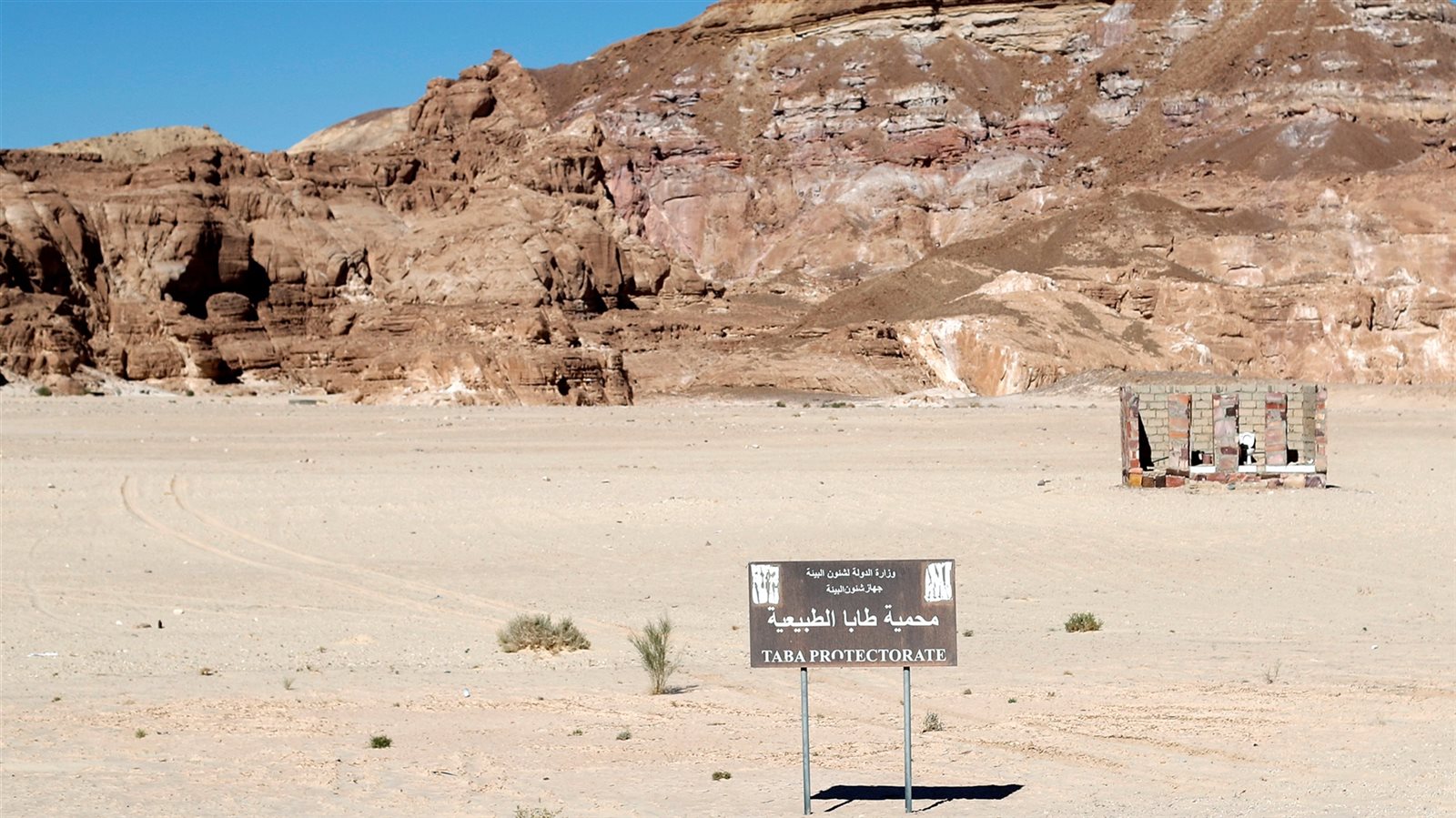 مقالات نيوتن