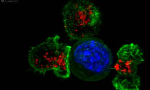 اصابة المتعافين مرة اخرى بفيروس كورونا