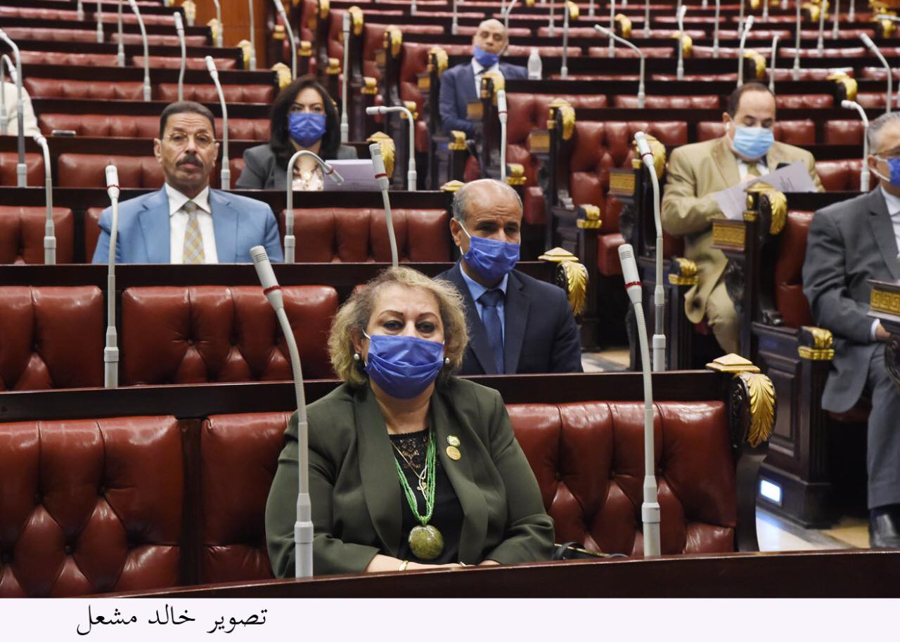 لجان البرلمان