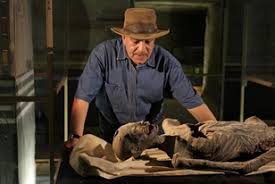 زاهى حواس، وزير الآثار الأسبق  زاهى حواس، وزير الآثار الأسبق