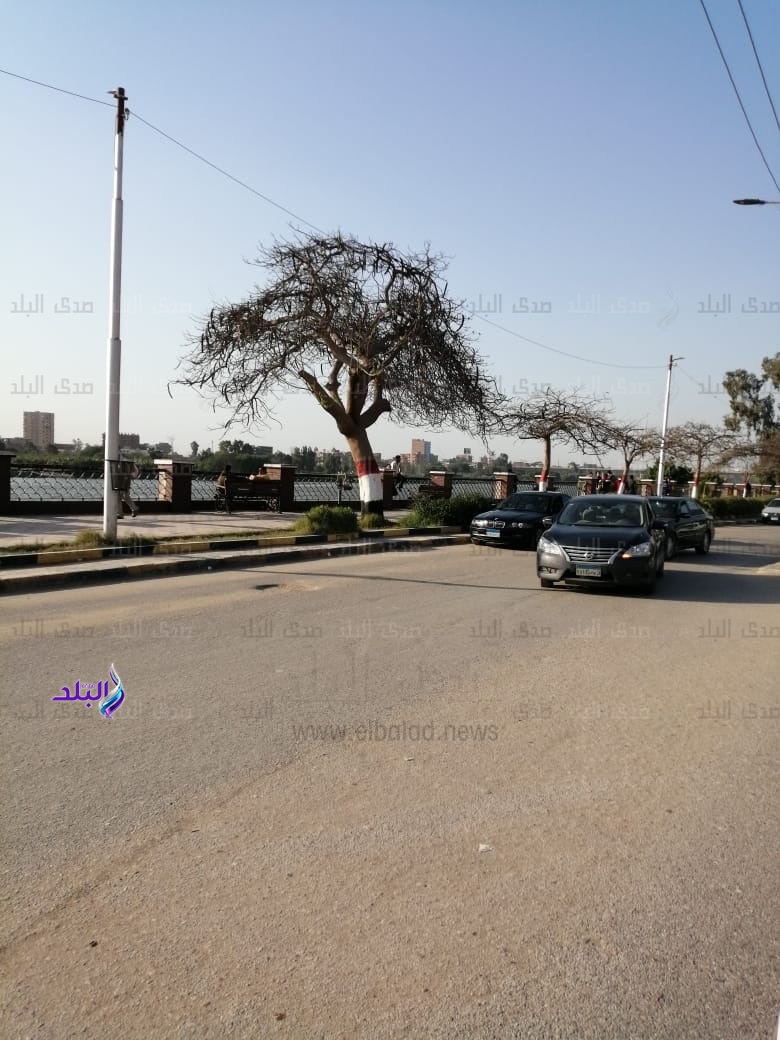 كورنيش بنها 