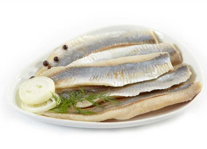 الرنجة والفسيخ 