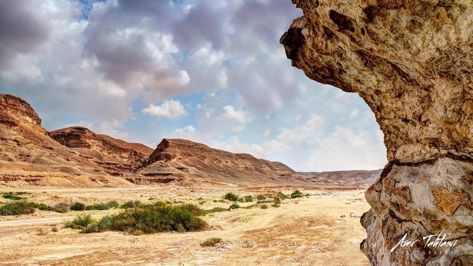 محمية وادي دجلة
