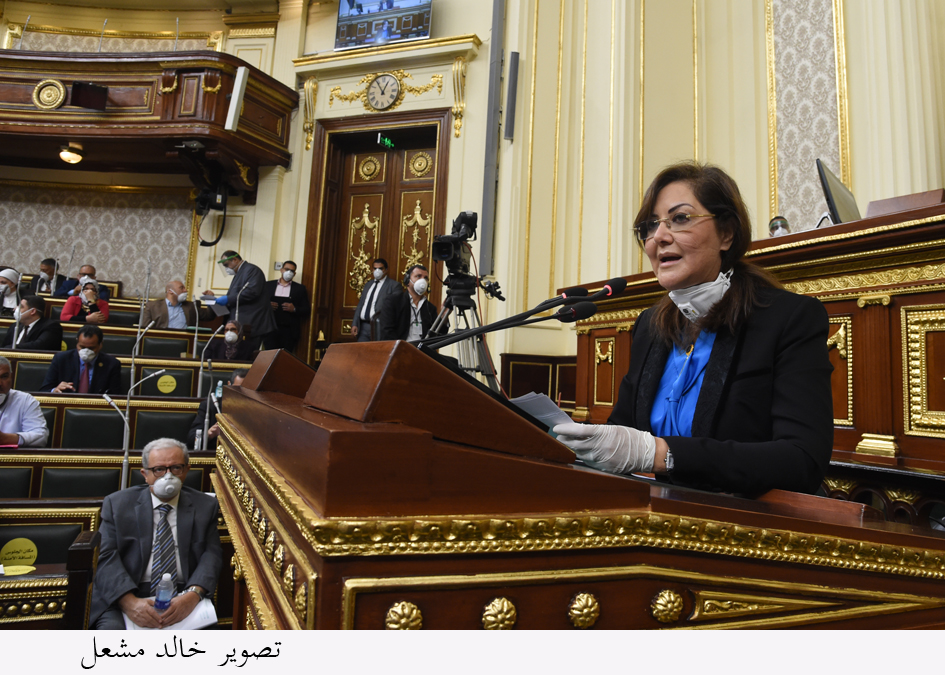 وزيرة التخطيط والتنمية الاقتصادية الدكتورة هالة السعيد