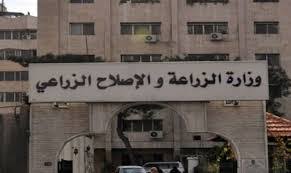 ارشيفية