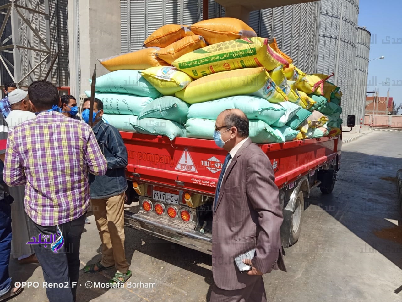 توريد قمح