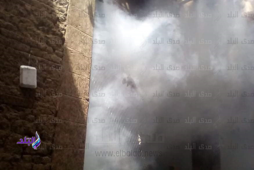 زراعة المنيا تهاجم بورة خفافيش بسمالوط