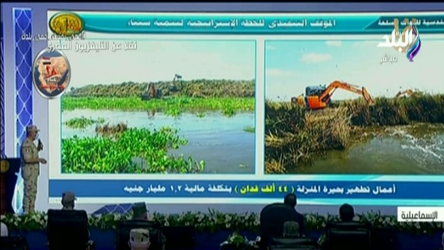بحيرة المنزلة