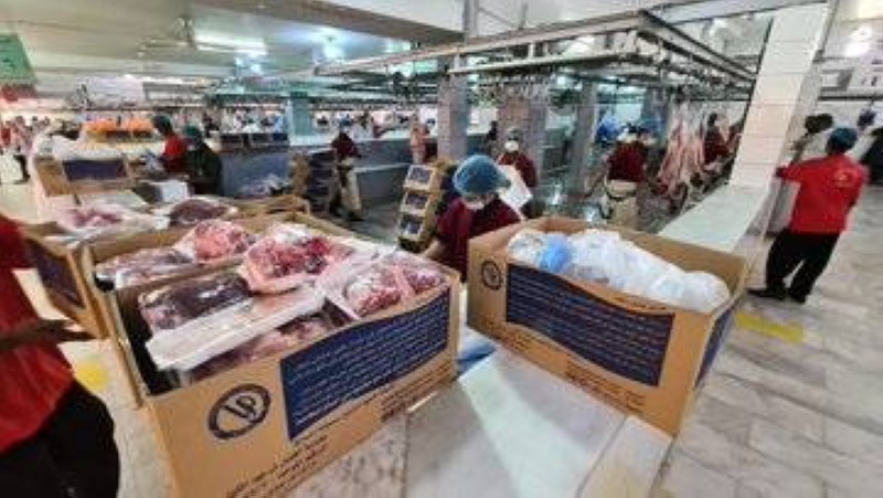 بيع الاغنام عبر الواتساب 