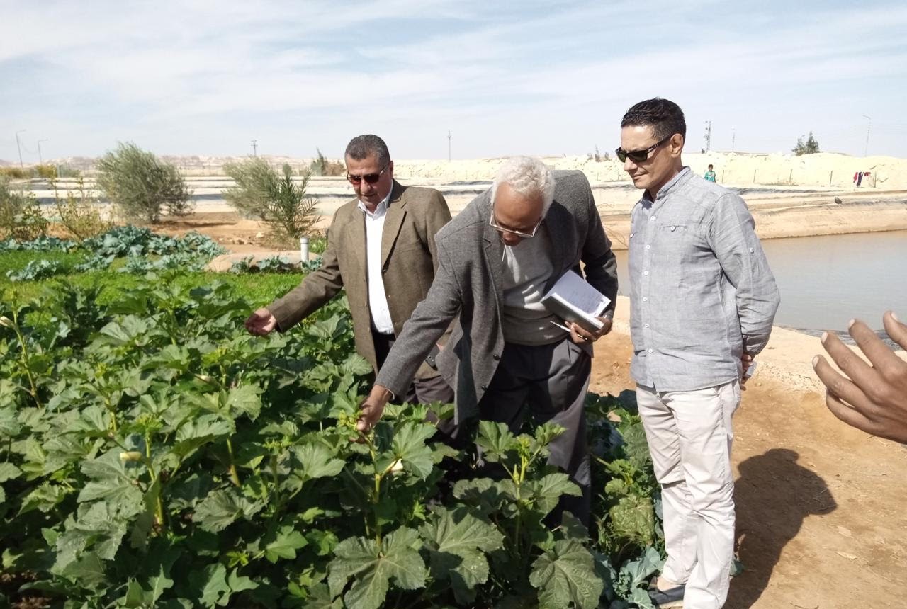  التجمعات التنموية بوسط سيناء