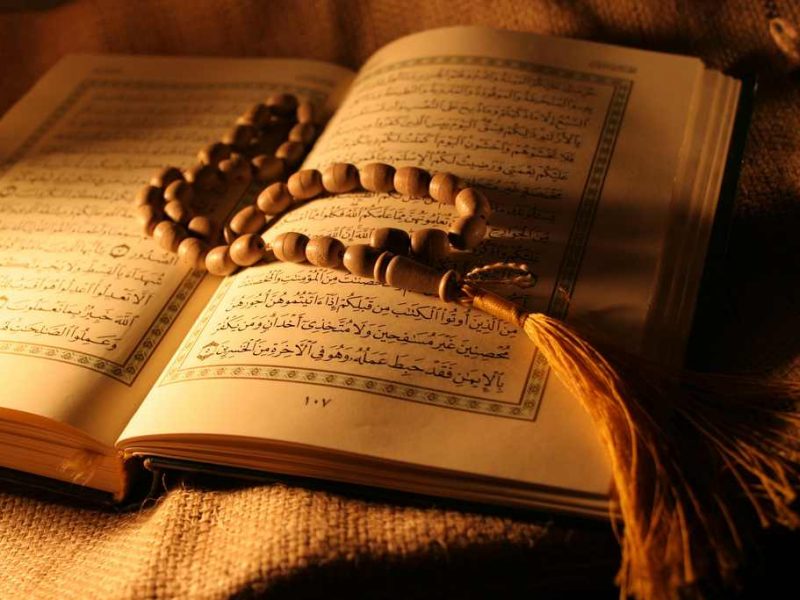 هل يستوي الذين يعلمون والذين لا يعلمون