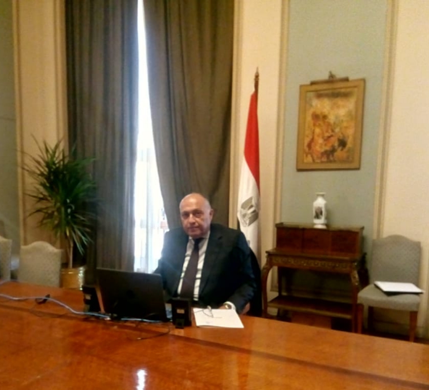 وزير الخارجية خلال الفيديو كونفرانس
