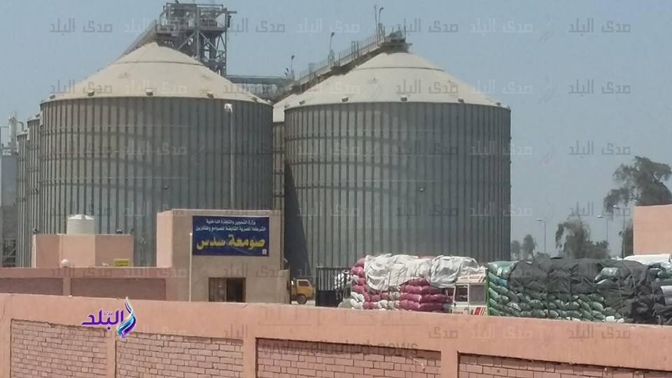 توريد قمح
