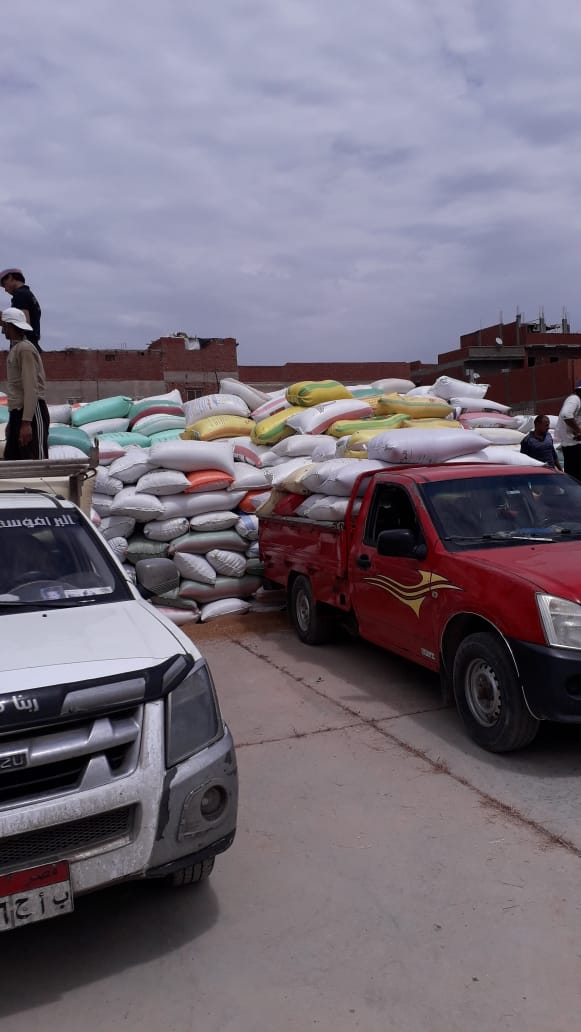 توريد القمح 