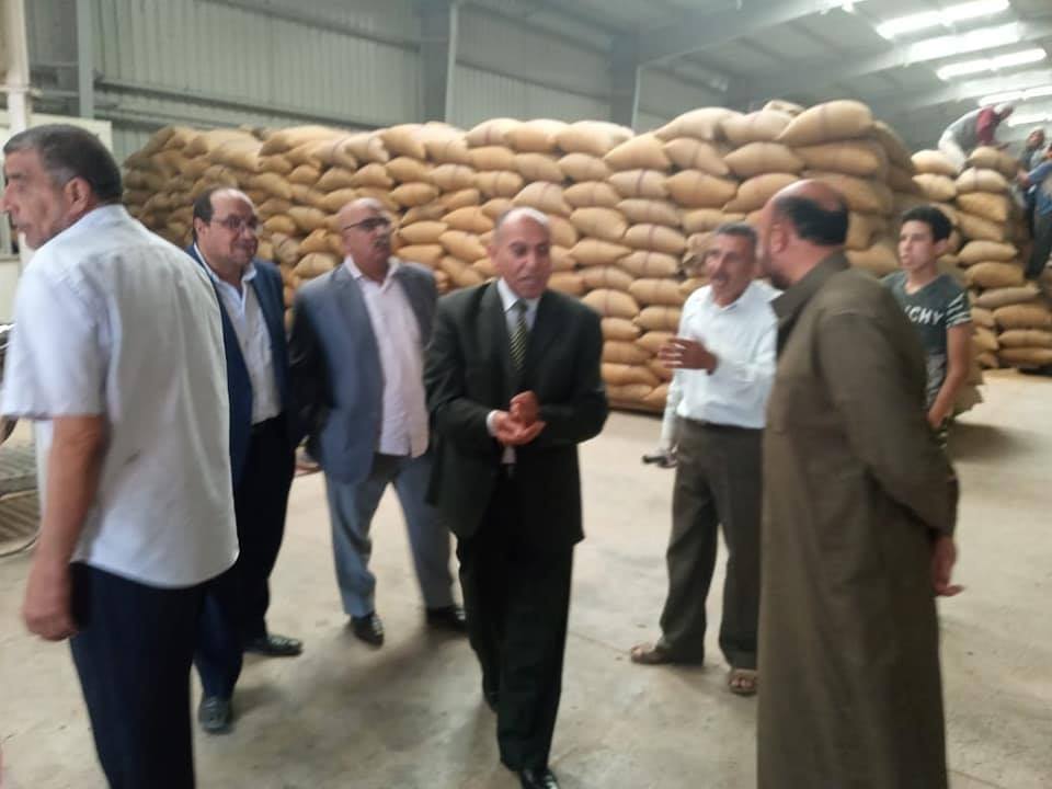 توريد القمح بالغربية