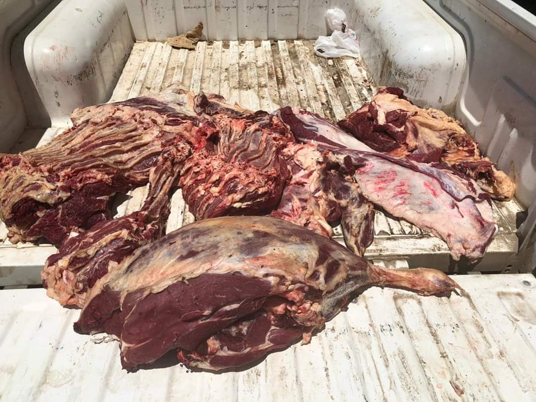 ضبط لحوم بلدى مذبوحه خارج المجازر الحكوميه بالفيوم