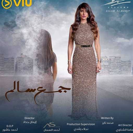 مسلسل جمع سالم 
