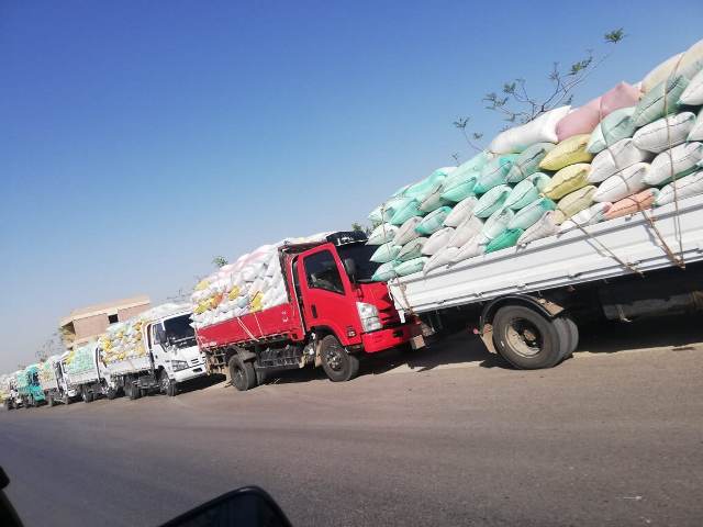 توريد محصول القمح