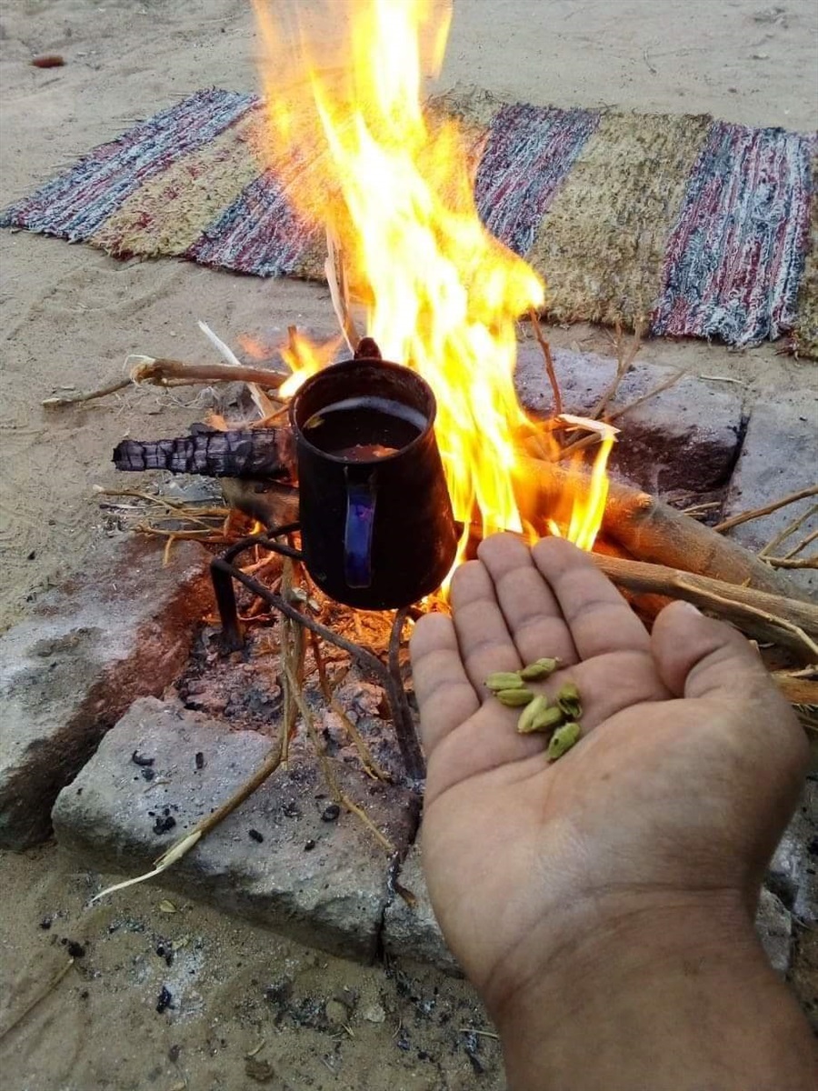بادية سيناء