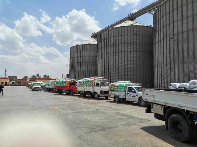 صوامع القمح