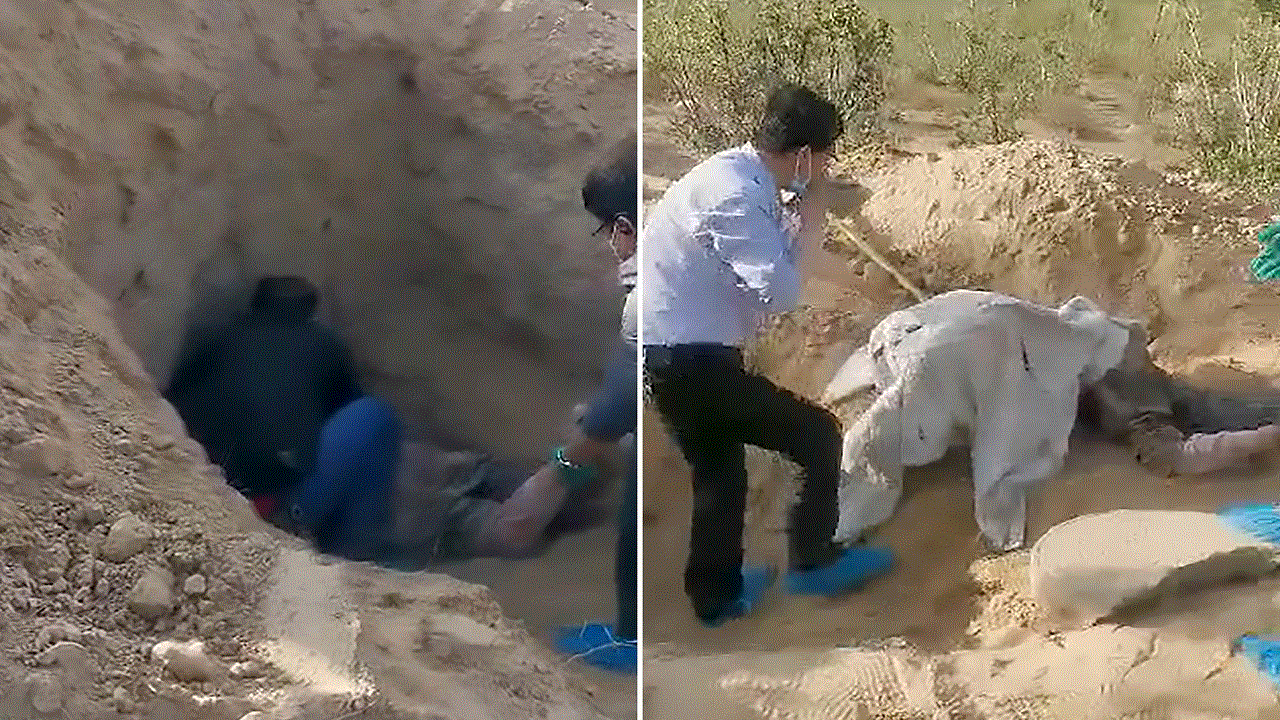 لحظة إنقاذ الأم