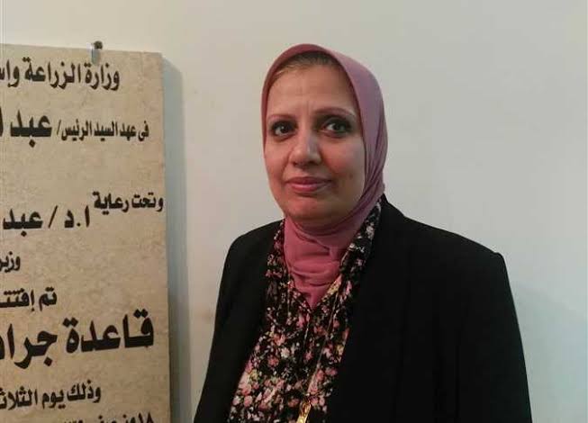 مدير مشروع مكافحة العفن البنى بالبطاطس في حوار ل صدى البلد