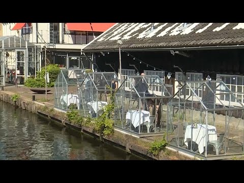 مطعم هولندي