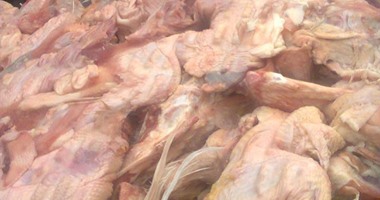 طن هياكل دواجن 
