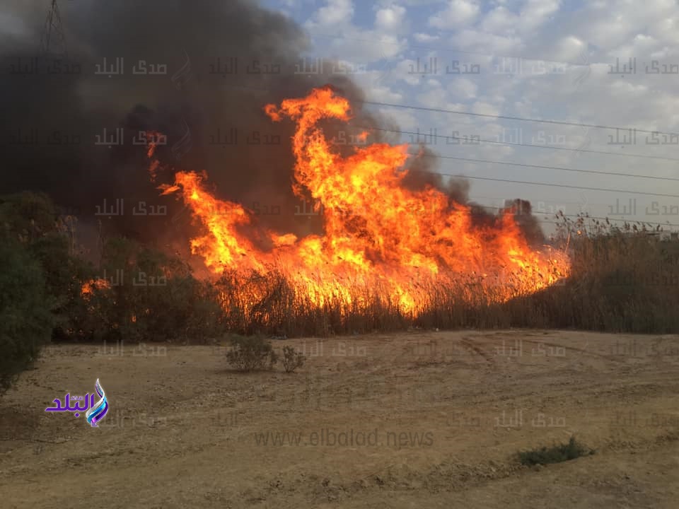 اشتعال النيران فى الحزام الاخضر بالتجمع الثالث 