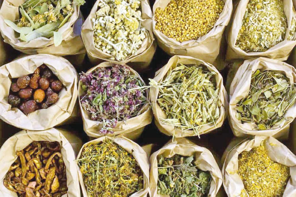 أفضل الأعشاب لمقاومة الفيروسات