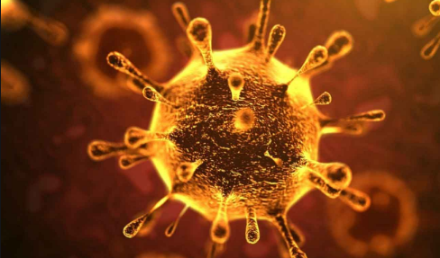 هل ينتقل فيروس كورونا في المطاعم 