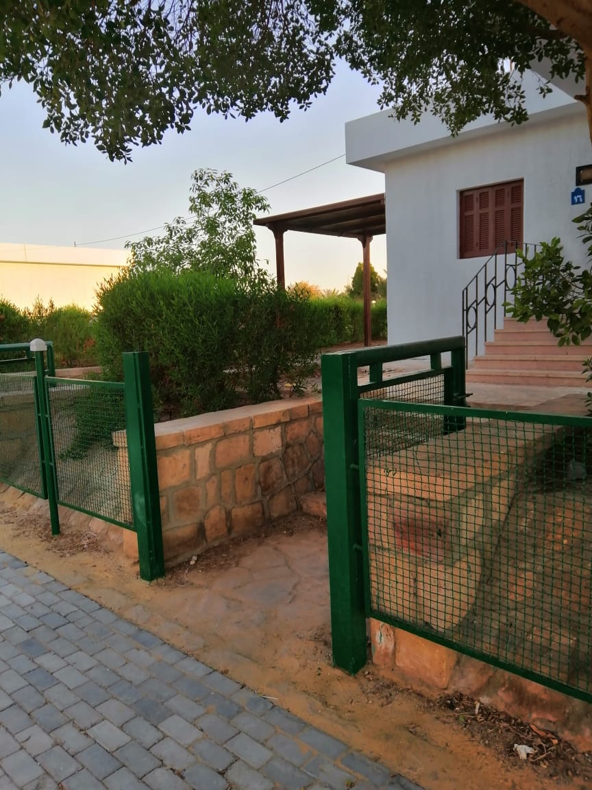 جامعة أسوان